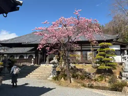 楽法寺（雨引観音）(茨城県)