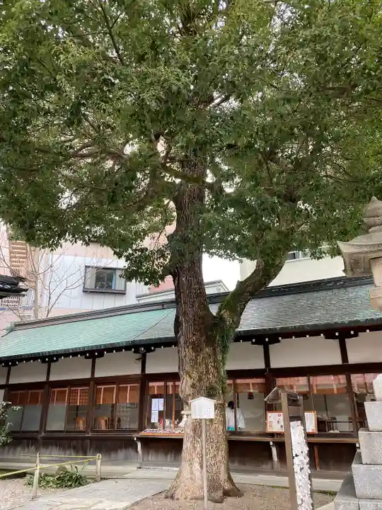 安江八幡宮(金沢水天宮)の自然