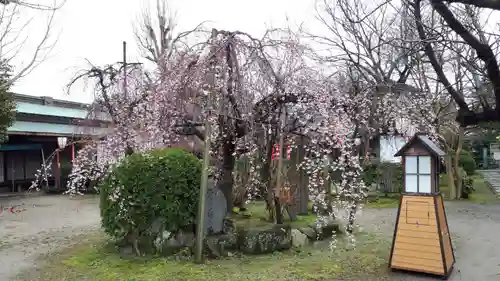 長建寺(京都府)