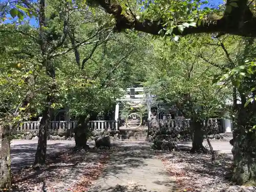 天鷹神社(岐阜県)