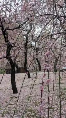 城南宮(京都府)