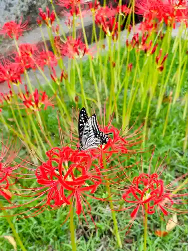 横浜　西方寺(神奈川県)