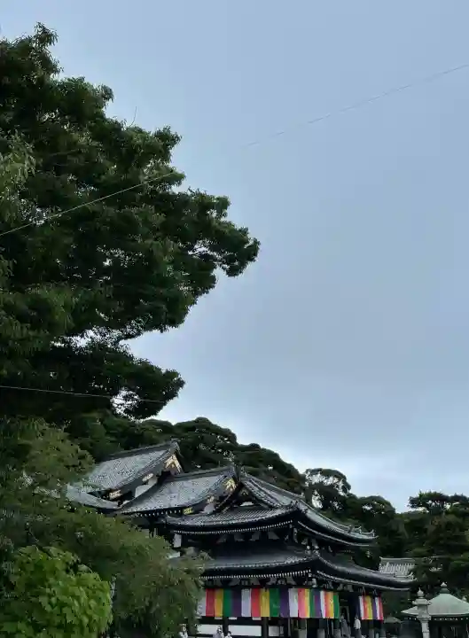 長谷寺の{uncategorized: "未分類", other: "その他", undefined: "問題あり", building: "その他建物", grave: "お墓", sacred_gate: "鳥居", guardian: "狛犬", statue: "像", buddha: "仏像", history: "歴史", nature: "自然", garden: "庭園", animal: "動物", pagoda: "塔", temizu: "手水舎", mountain_gate: "山門・神門", sanctuary: "本殿・本堂", subordinate: "末社・摂社", art: "芸術", scenery: "景色", jizo: "地蔵", ema: "絵馬", goshuin: "御朱印", omikuji: "おみくじ", items: "授与品その他", amulet: "お守り", goshuincho: "御朱印帳", eats: "食事", festival: "お祭り", votive_dance: "神楽", shichigosan: "七五三参", wedding: "結婚式", experience: "体験その他", initially: "初詣", around: "周辺", anti_infection: "感染症対策"}