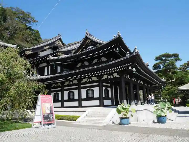 長谷寺の本殿・本堂
