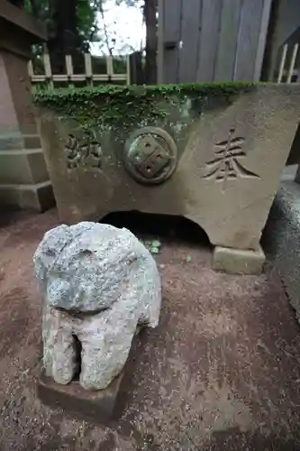 渋谷氷川神社の狛犬