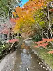 小國神社(静岡県)