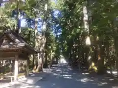 小國神社(静岡県)