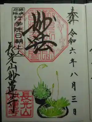 御朱印　ハオルチア（多肉植物）