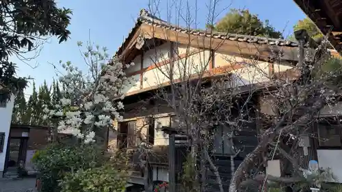 西光寺(埼玉県)