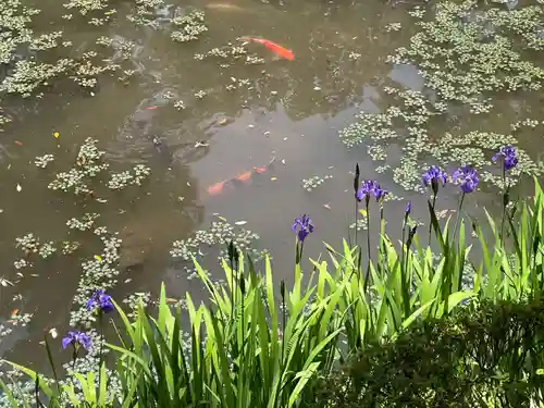 春日大社(奈良県)