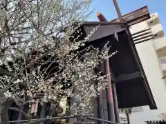 高円寺氷川神社の本殿