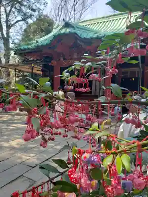 赤坂氷川神社(東京都)