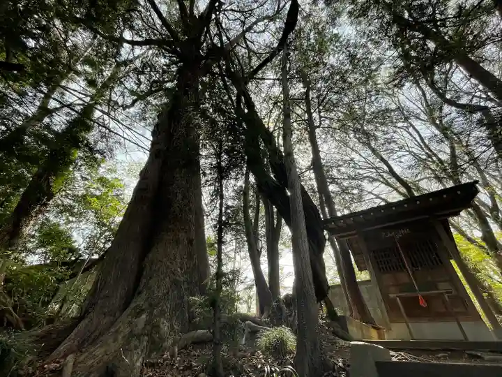 大山祗神社の自然
