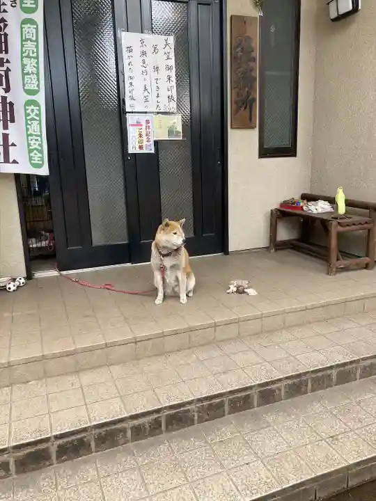 笠䅣稲荷神社の動物