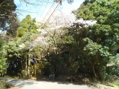 三蔵金刀比羅宮(熊本県)