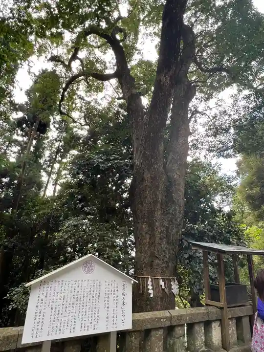 久能山東照宮(静岡県)