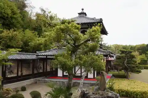 達磨堂 円福寺 (京都府)