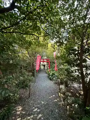 玉三稲荷神社の{uncategorized: "未分類", other: "その他", undefined: "問題あり", building: "その他建物", grave: "お墓", sacred_gate: "鳥居", guardian: "狛犬", statue: "像", buddha: "仏像", history: "歴史", nature: "自然", garden: "庭園", animal: "動物", pagoda: "塔", temizu: "手水舎", mountain_gate: "山門・神門", sanctuary: "本殿・本堂", subordinate: "末社・摂社", art: "芸術", scenery: "景色", jizo: "地蔵", ema: "絵馬", goshuin: "御朱印", omikuji: "おみくじ", items: "授与品その他", amulet: "お守り", goshuincho: "御朱印帳", eats: "食事", festival: "お祭り", votive_dance: "神楽", shichigosan: "七五三参", wedding: "結婚式", experience: "体験その他", initially: "初詣", around: "周辺", anti_infection: "感染症対策"}
