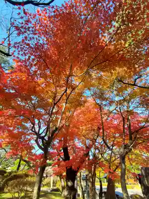 開成山大神宮(福島県)
