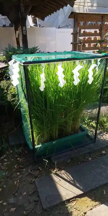 品川神社のその他建物