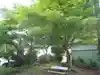 津嶋神社(愛知県)