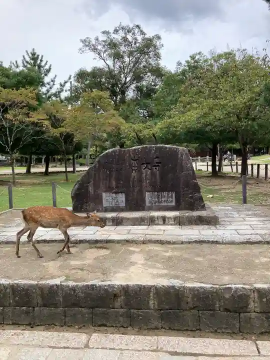 東大寺(奈良県)