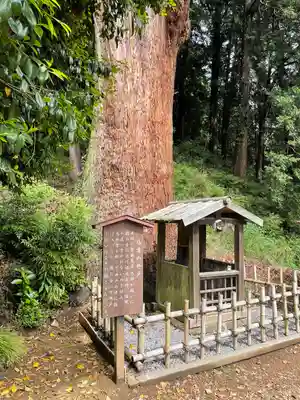 大中寺(栃木県)