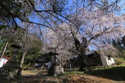 諏訪神社の景色