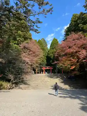 霧島神宮(鹿児島県)