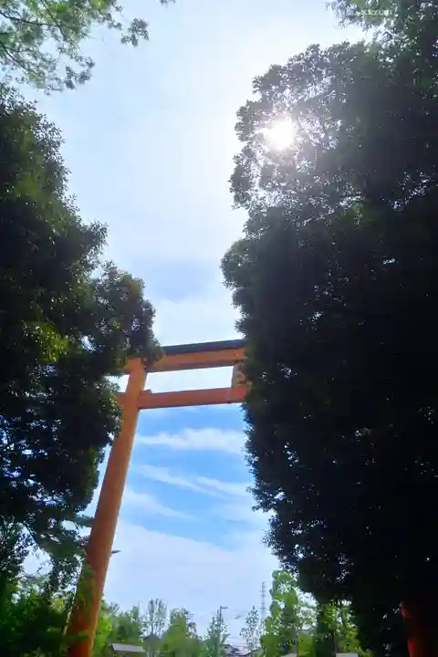 川越氷川神社(埼玉県)