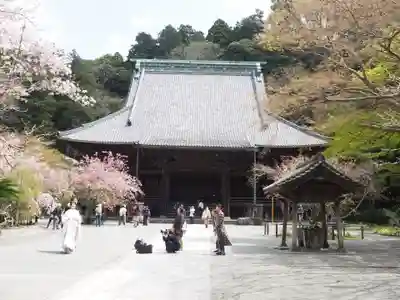 妙本寺の本殿・本堂