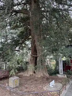 善養寺（善養密寺）(東京都)