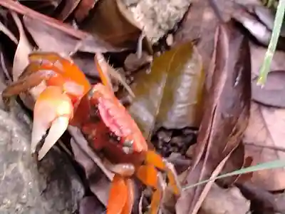 伊射波神社(三重県)