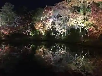 高台寺（高台寿聖禅寺・高臺寺）(京都府)