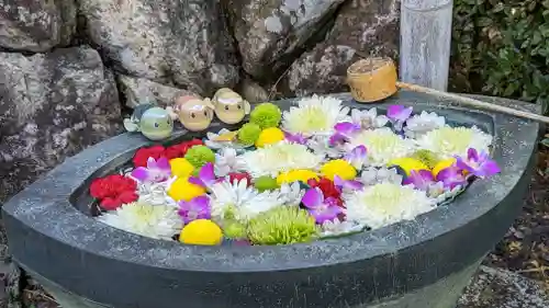 くろ谷 金戒光明寺(京都府)