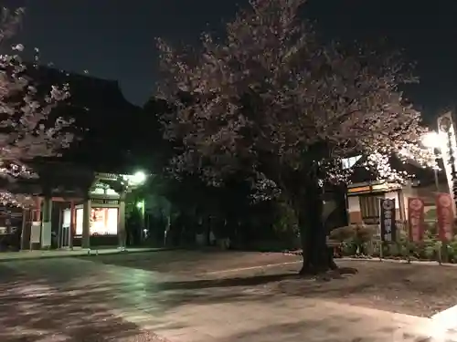 池上本門寺(東京都)