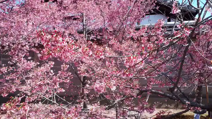 長徳寺(京都府)
