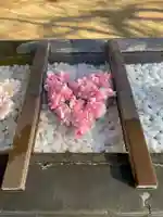 根岸八幡神社の手水舎