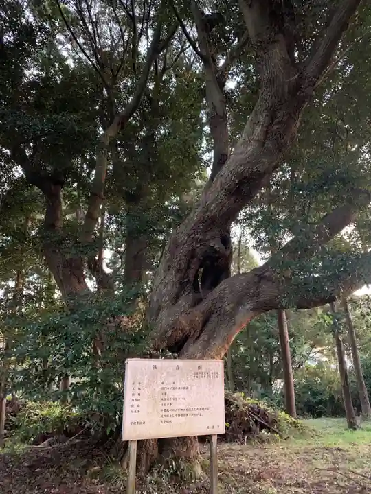 将門口ノ宮神社(千葉県)