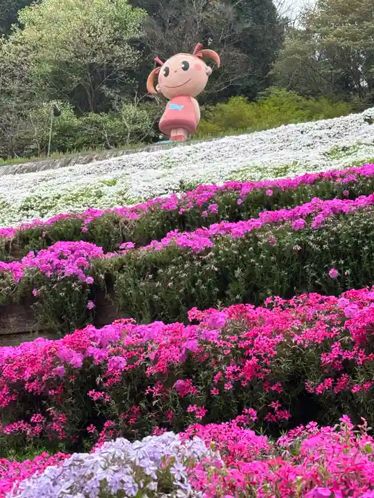 若杉稲荷大明神(兵庫県)