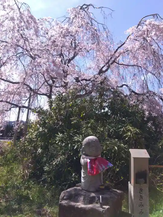 宝泉寺(京都府)