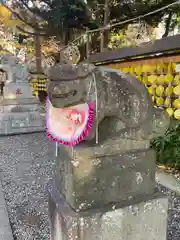 菊田神社の狛犬