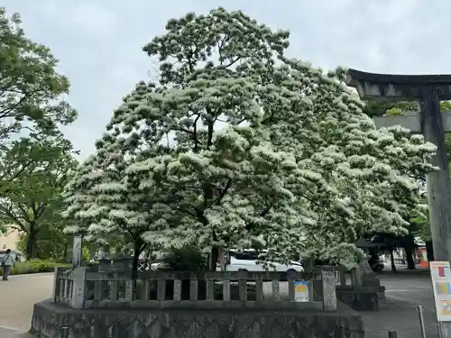 金神社(岐阜県)