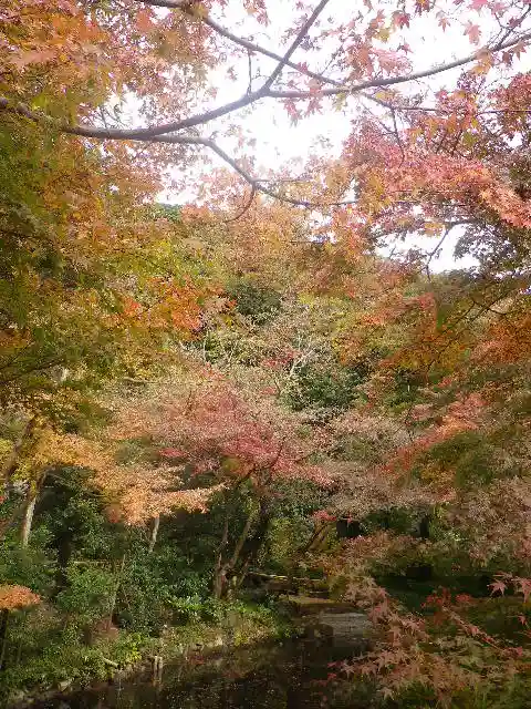 鶴岡八幡宮の自然