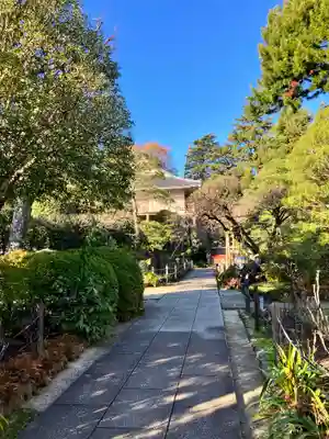 東長谷寺　薬王院(東京都)