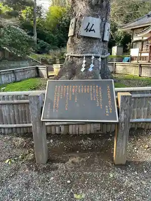 大巌寺(千葉県)