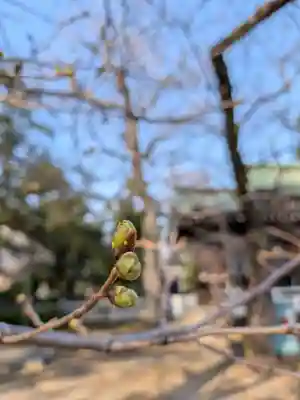 多田神社(東京都)