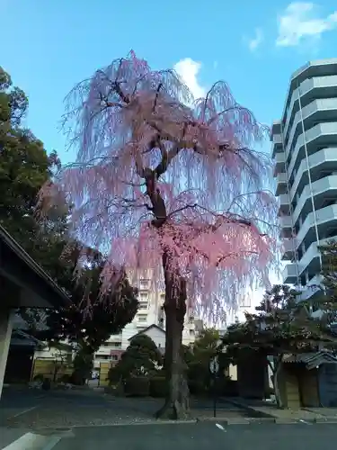 道仁寺(宮城県)