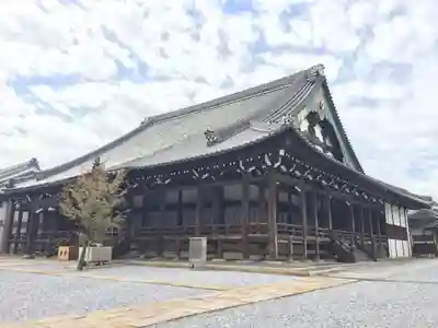 願泉寺（貝塚御坊）の本殿・本堂