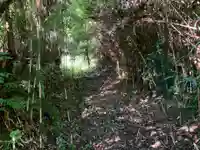 蔵王神社の自然